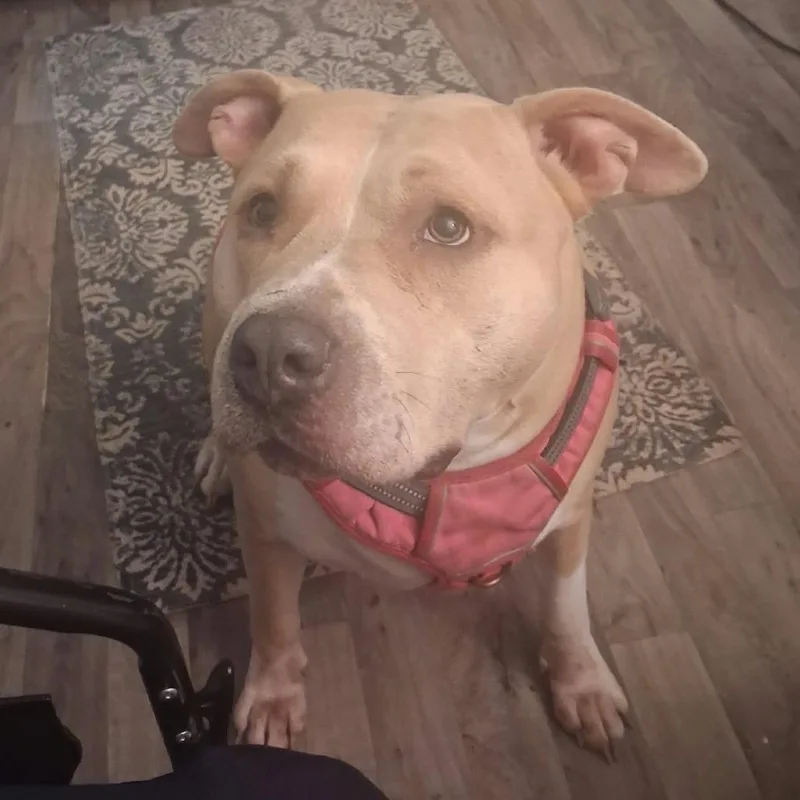 Nyla Lynn thumbnail 3