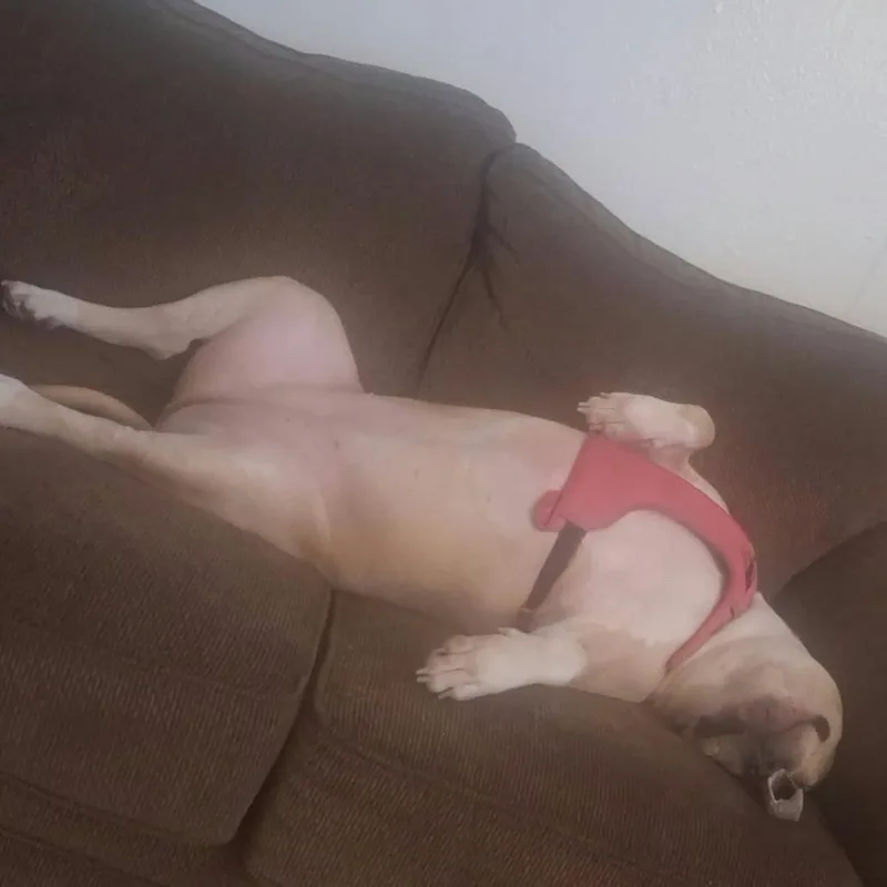 Nyla Lynn thumbnail 4