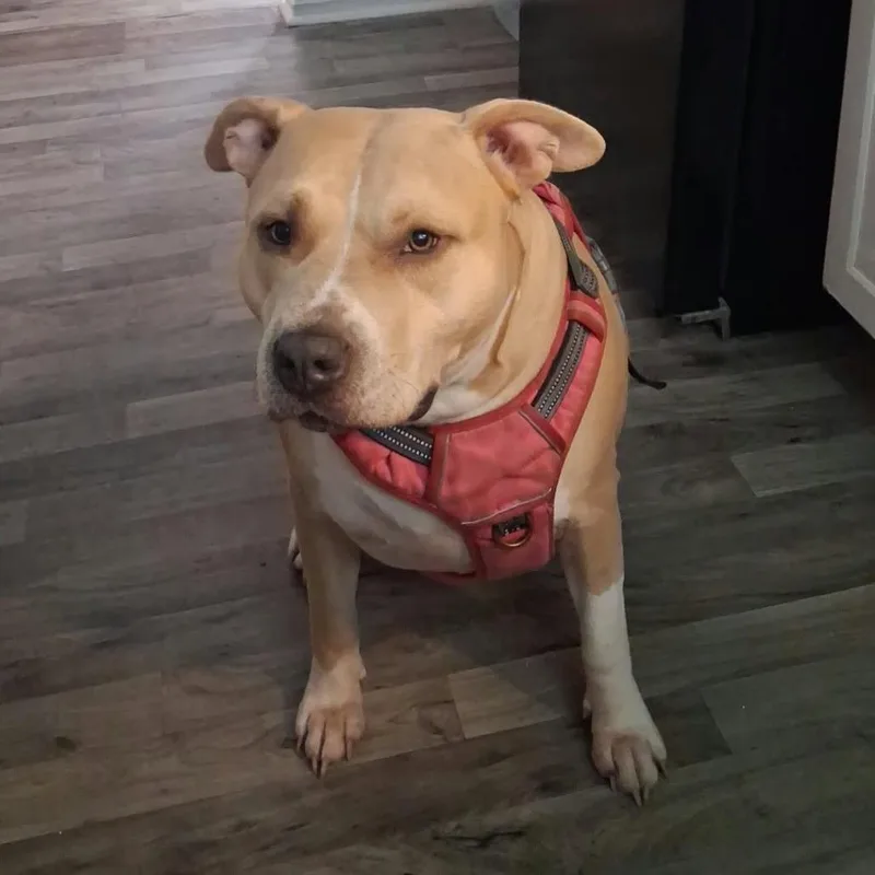Nyla Lynn thumbnail 5