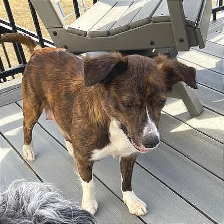 Sharona D thumbnail 2