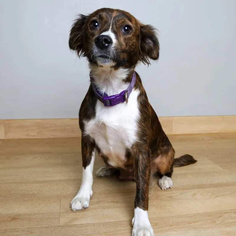 Sharona D thumbnail 4