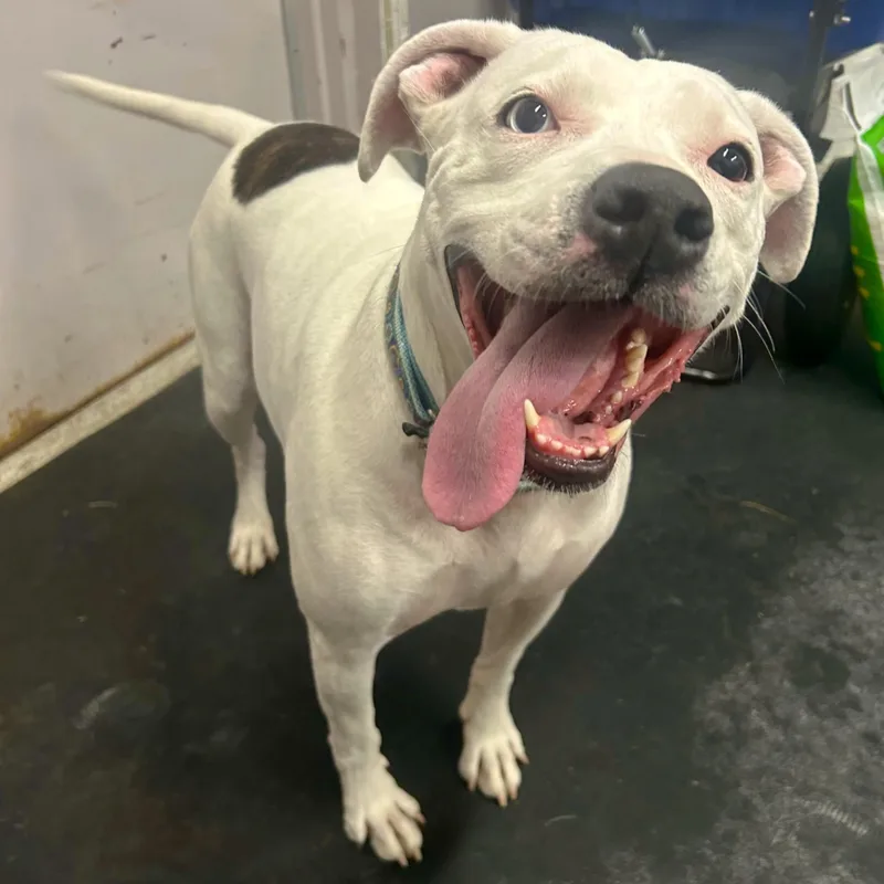 Lilybiggest Sweetheart! thumbnail 2