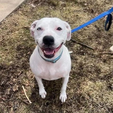 Lilybiggest Sweetheart! thumbnail 3