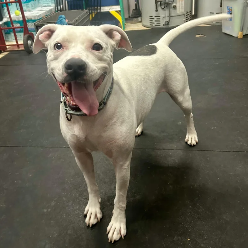 Lilybiggest Sweetheart! thumbnail 4