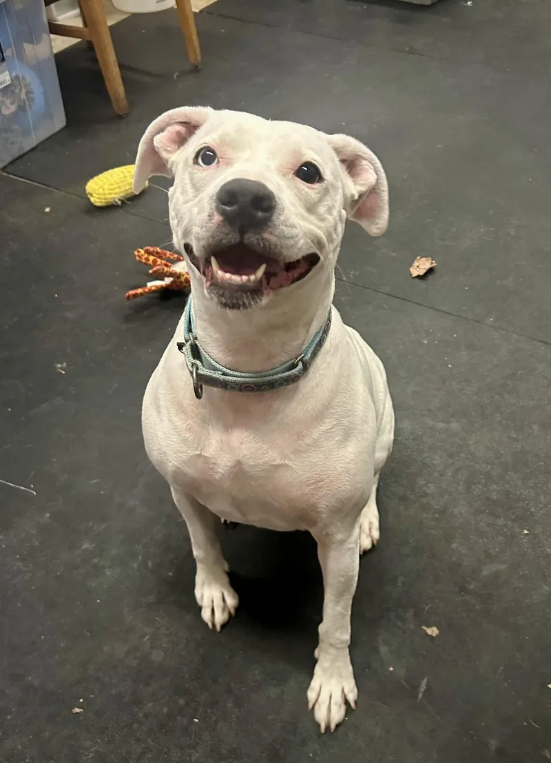 Lilybiggest Sweetheart! thumbnail 5