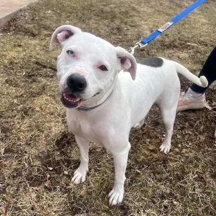 Lilybiggest Sweetheart!