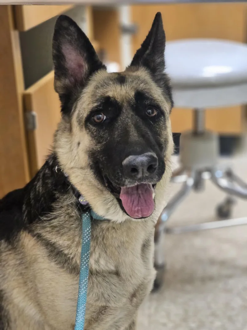 Cleopatra thumbnail 2