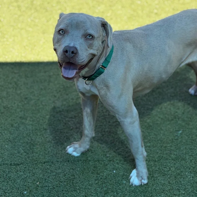 Cash Money thumbnail 2