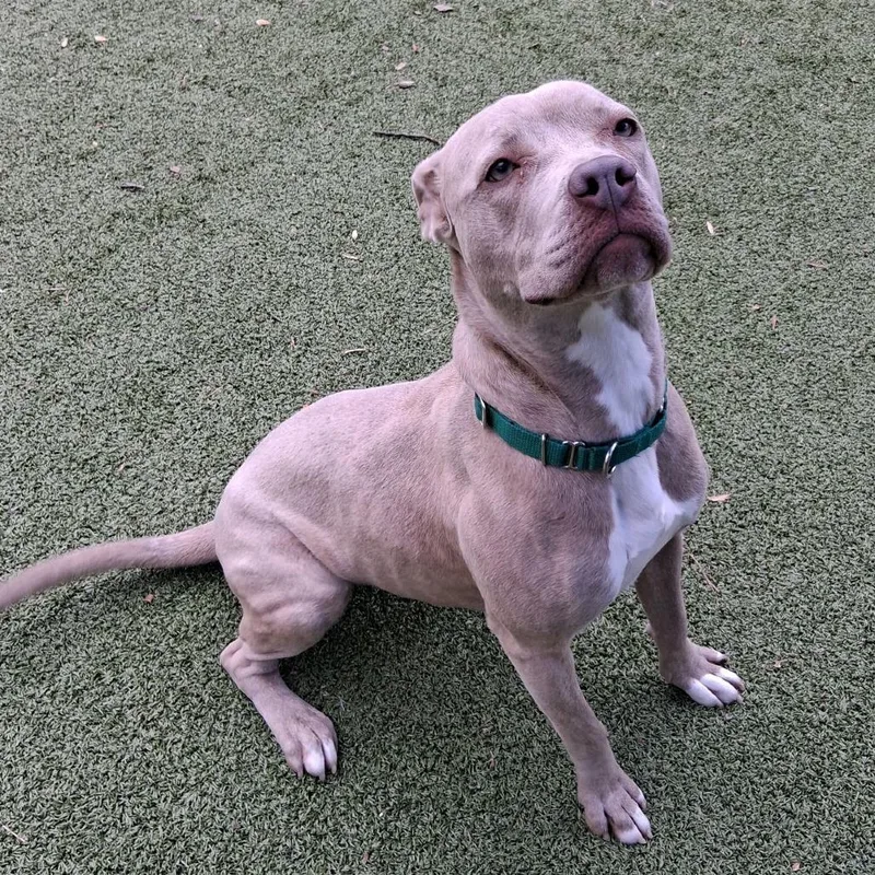 Cash Money thumbnail 3