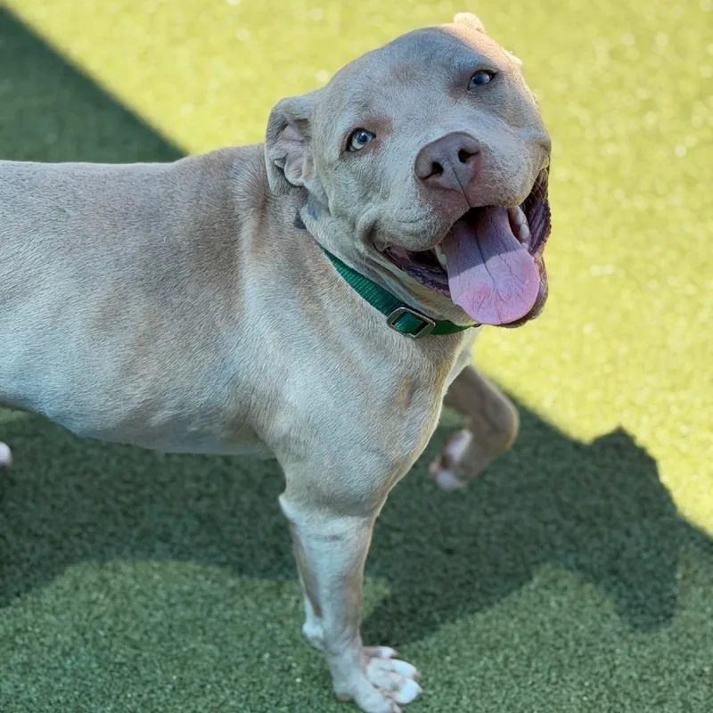 Cash Money thumbnail 4