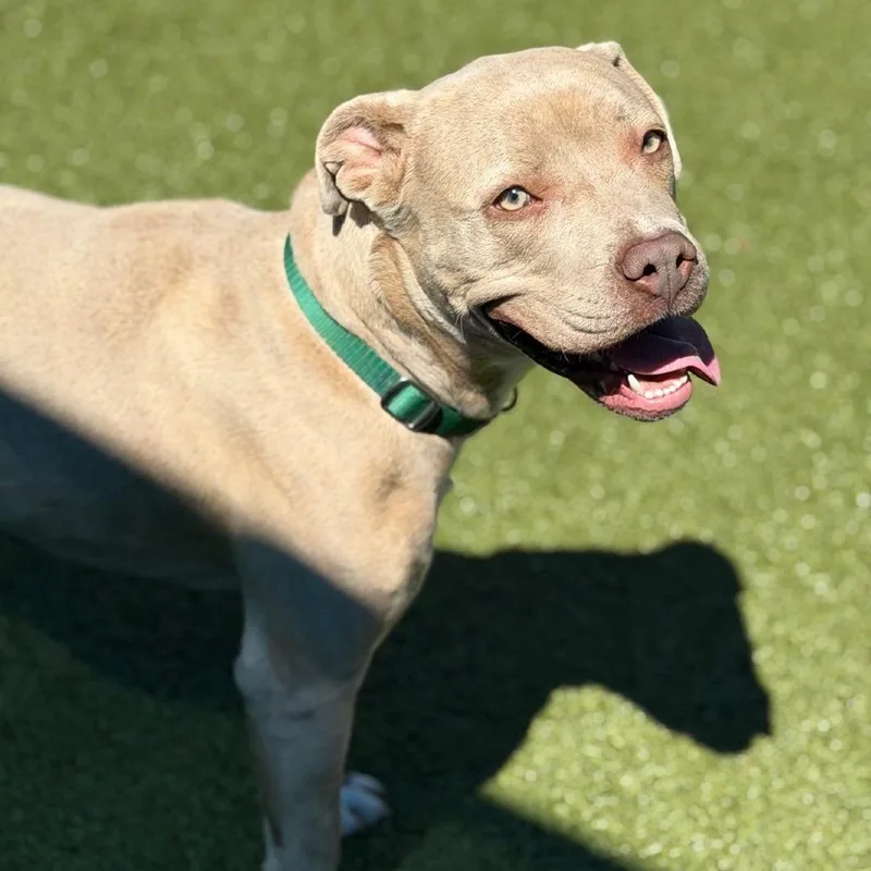 Cash Money thumbnail 5