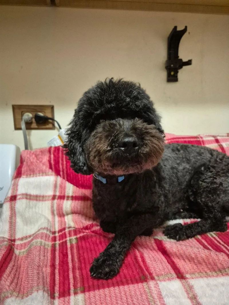 Coco Ca  Just thumbnail 3