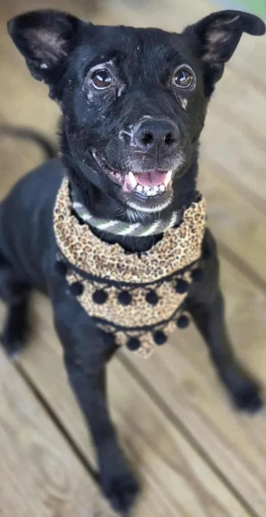 Millie Ann thumbnail 2