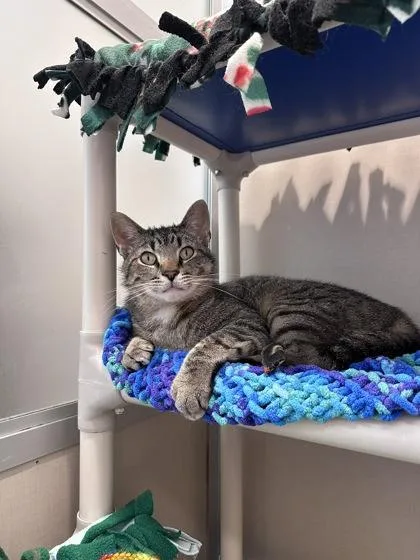 Milton