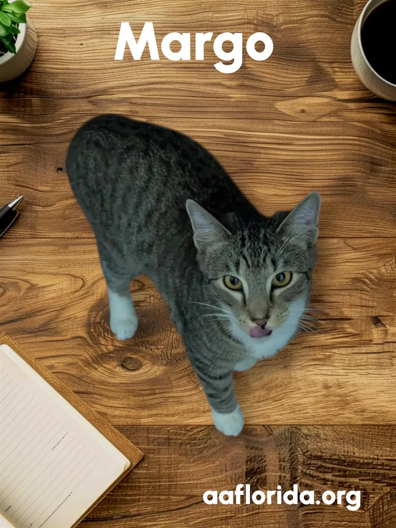 Margo