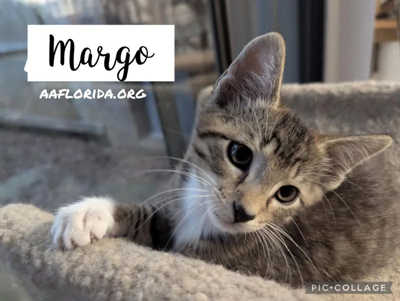 Margo thumbnail 2