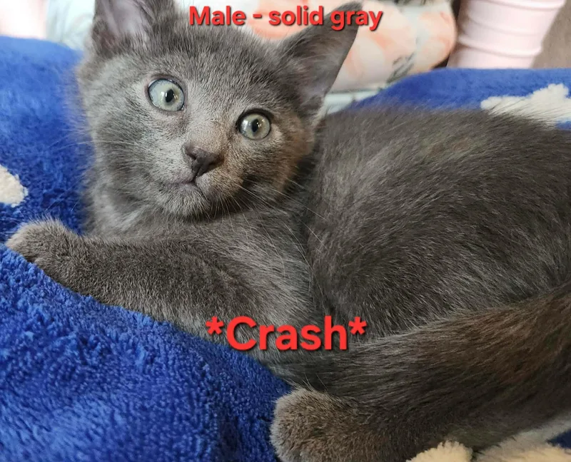 Crash