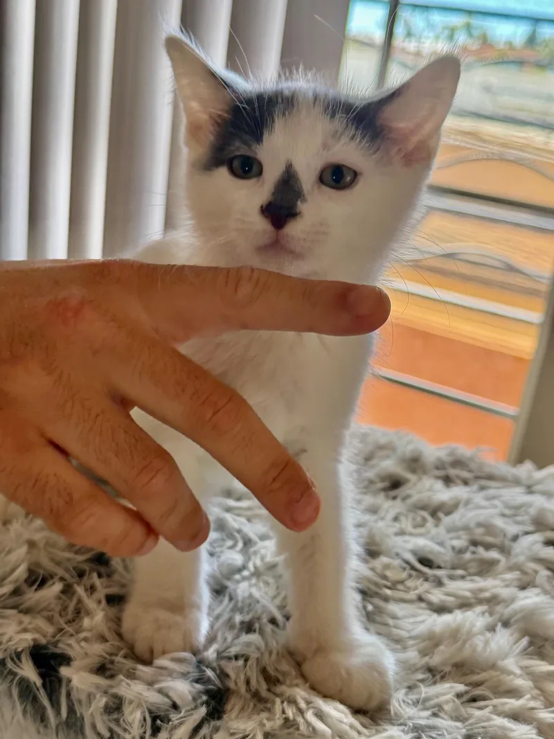Andy & Annie thumbnail 4