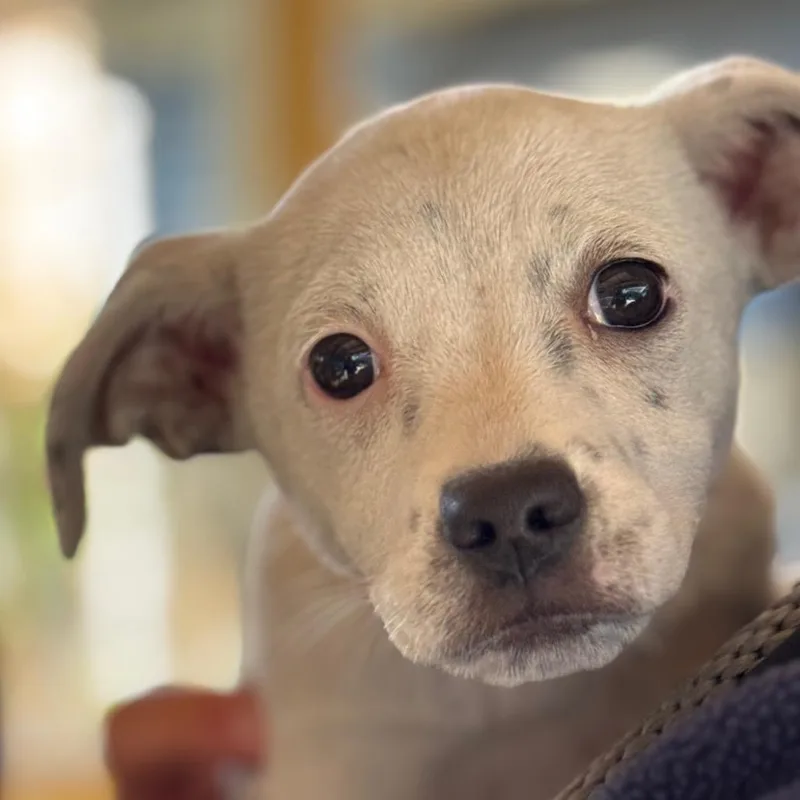 Mary Jo Shively thumbnail 3