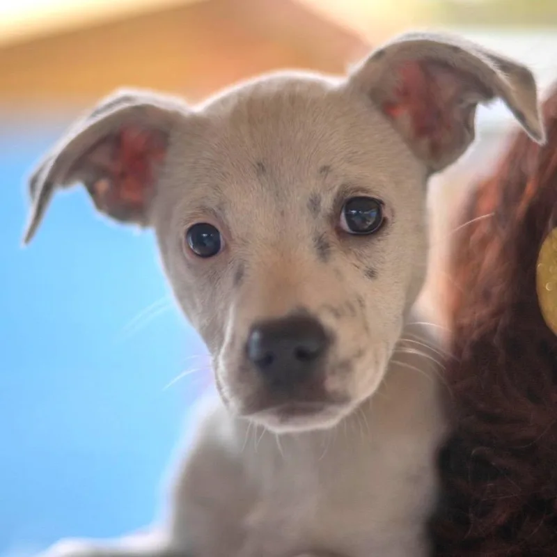 Mary Jo Shively thumbnail 4