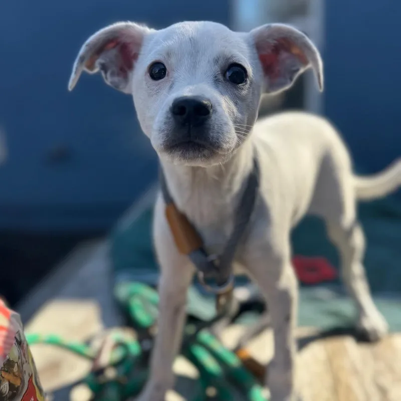 Mary Jo Shively thumbnail 5