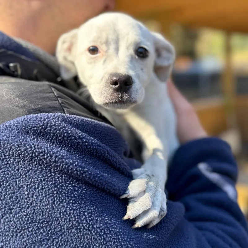 Mary Jo Shively thumbnail 6