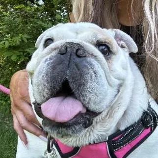 Sophie thumbnail 2