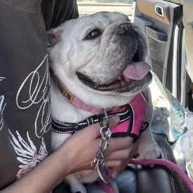 Sophie thumbnail 5