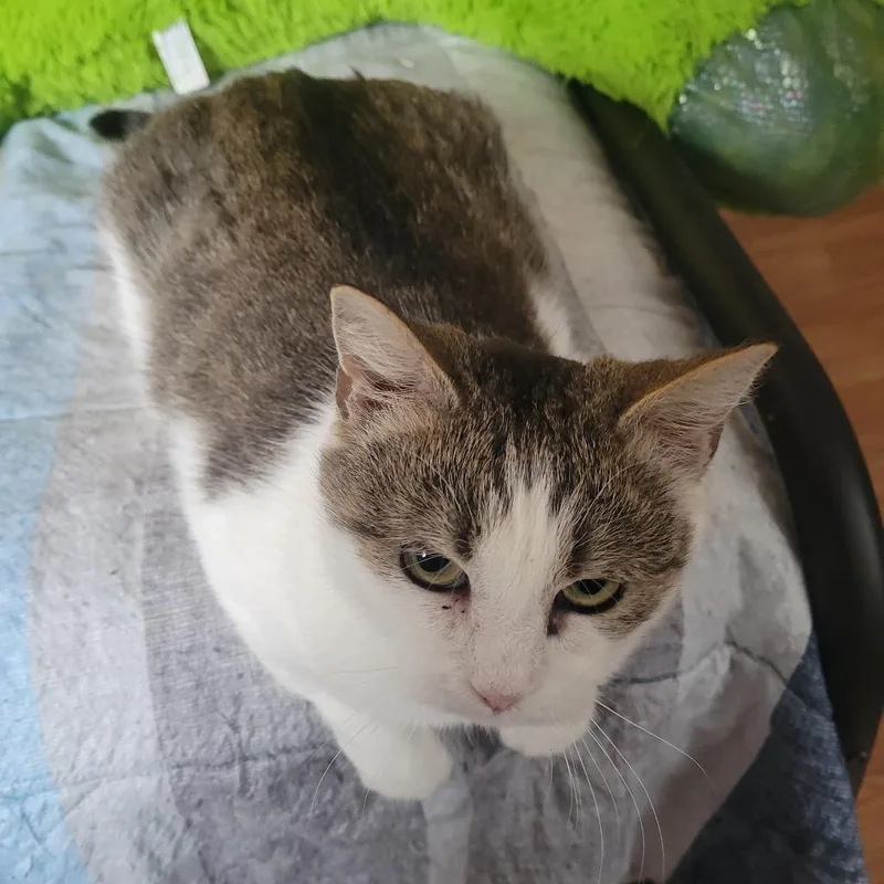 Momma Maggie thumbnail 2