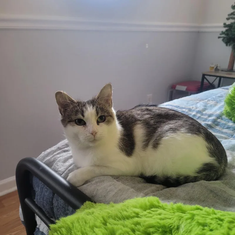 Momma Maggie thumbnail 3