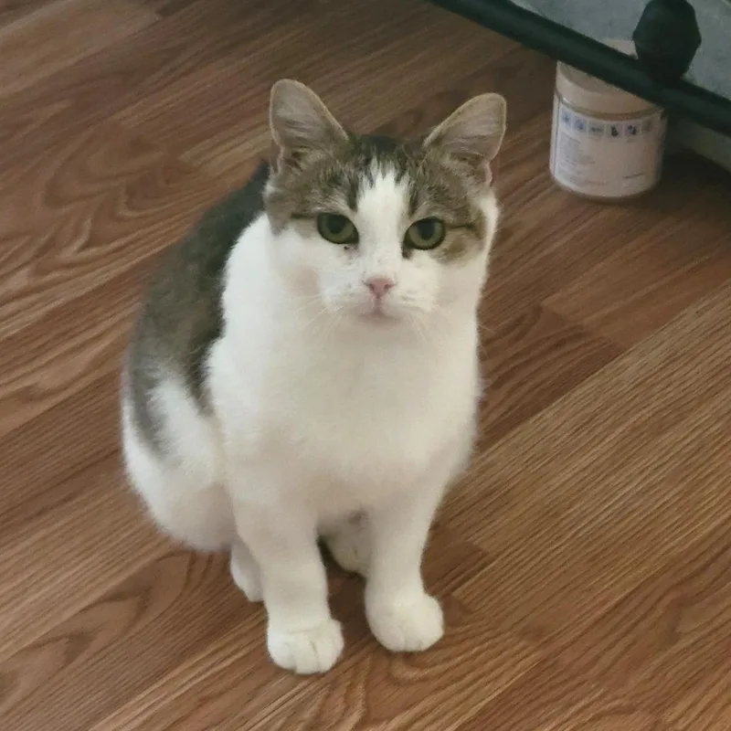 Momma Maggie thumbnail 4