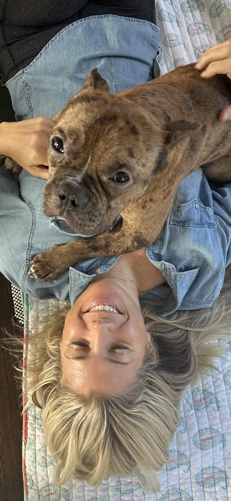 Ricky the pocket pittie thumbnail 5