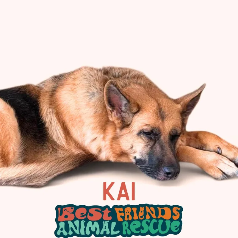 Kai