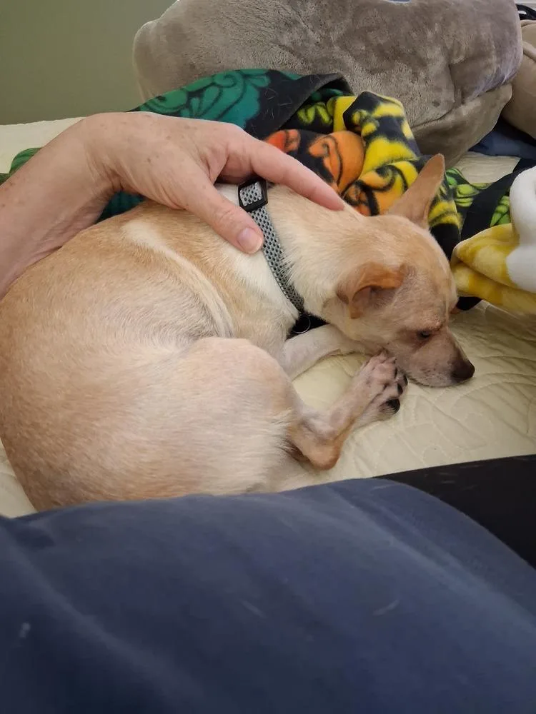Rudy thumbnail 4
