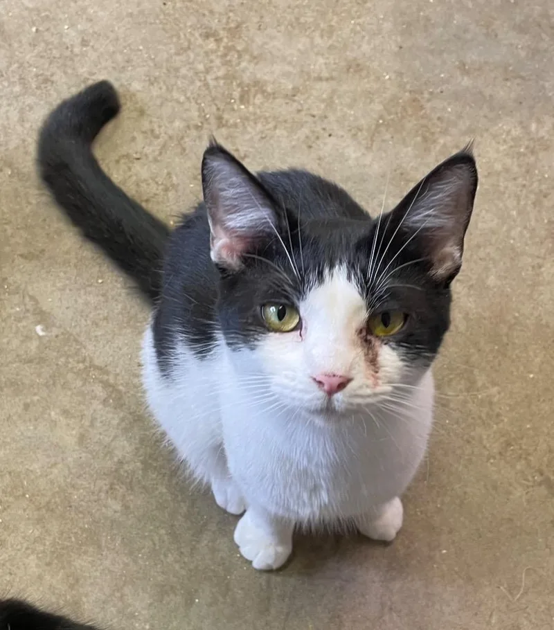 Thingamajig thumbnail 3