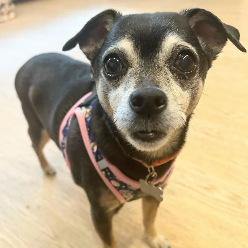 Laura Muller thumbnail 3