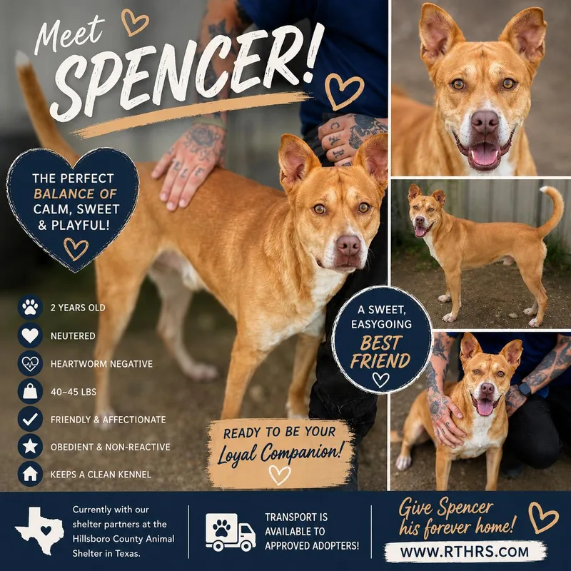 Spencer thumbnail 2