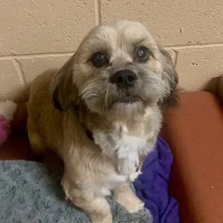 Caitlyn & Cameron thumbnail 2