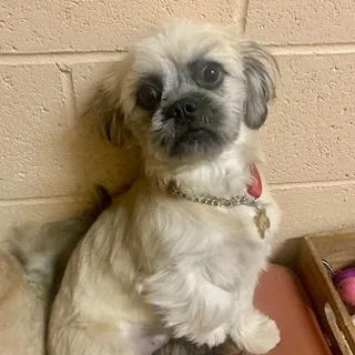 Caitlyn & Cameron thumbnail 3