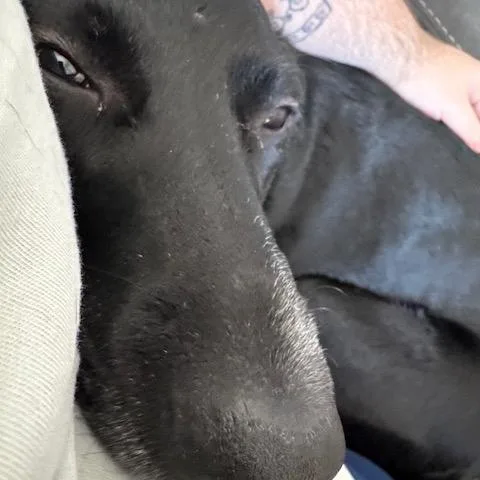 Monica Meadow thumbnail 4