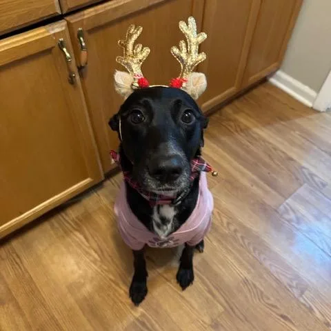 Monica Meadow thumbnail 5