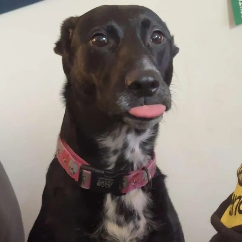 Monica Meadow thumbnail 6