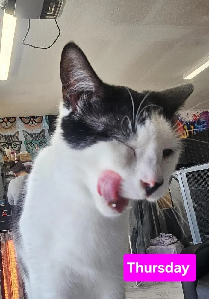 Thursday thumbnail 2