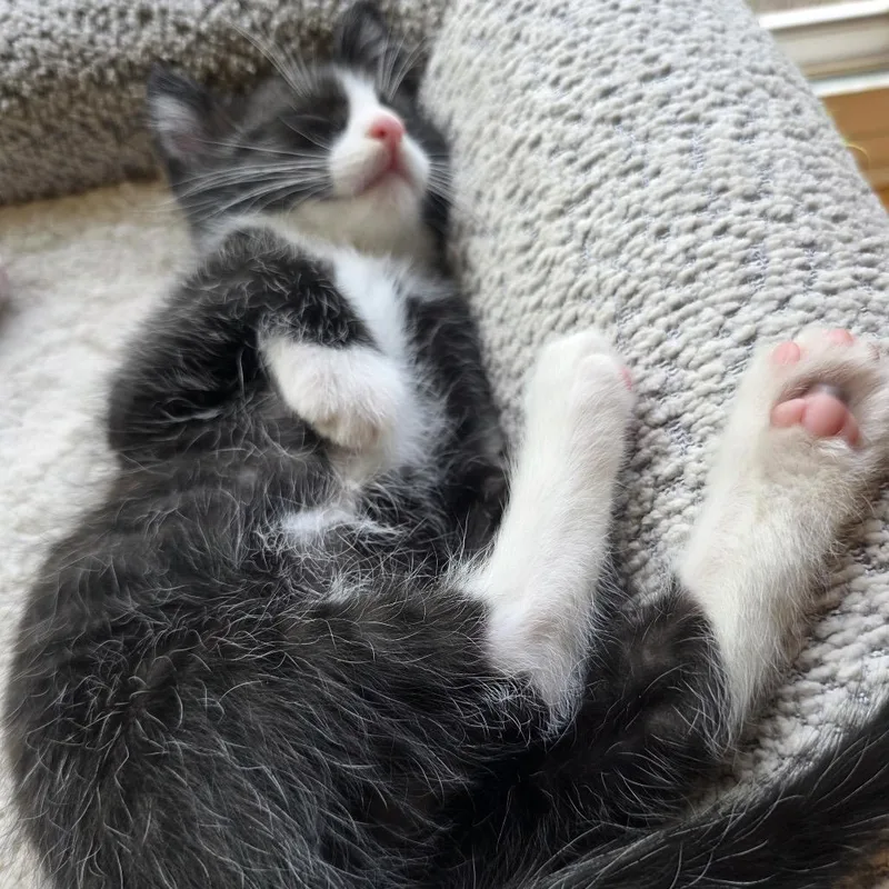 Stewart thumbnail 2