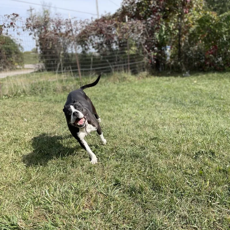 Girlfriend thumbnail 2