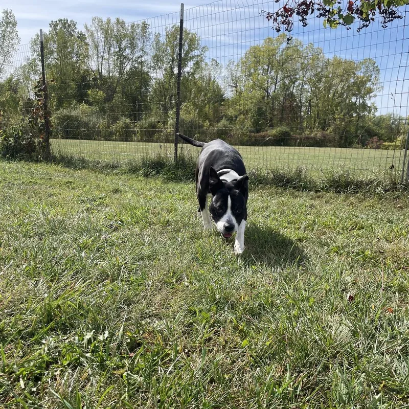 Girlfriend thumbnail 3