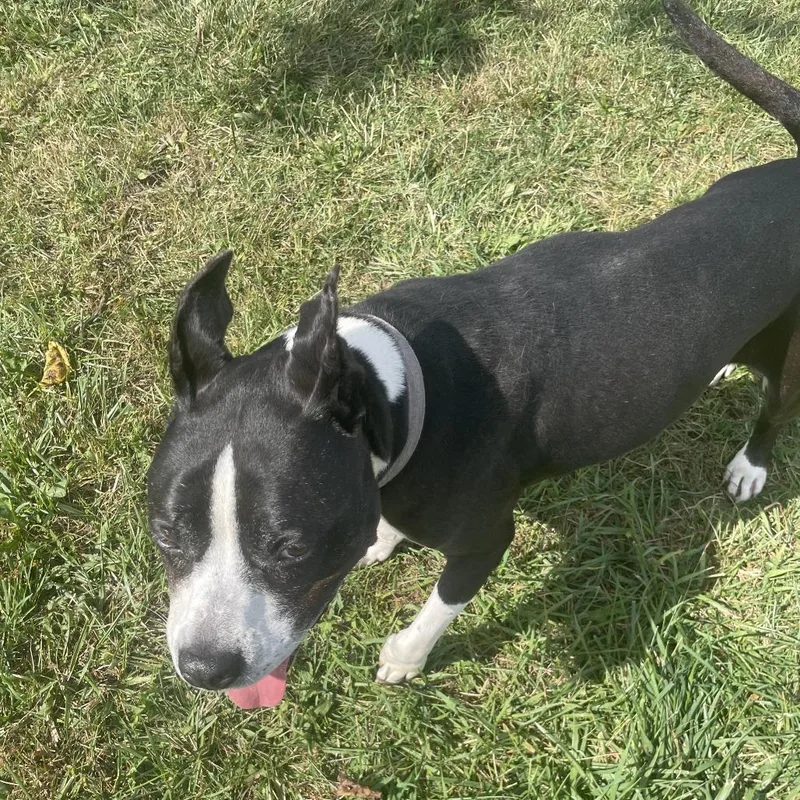 Girlfriend thumbnail 4