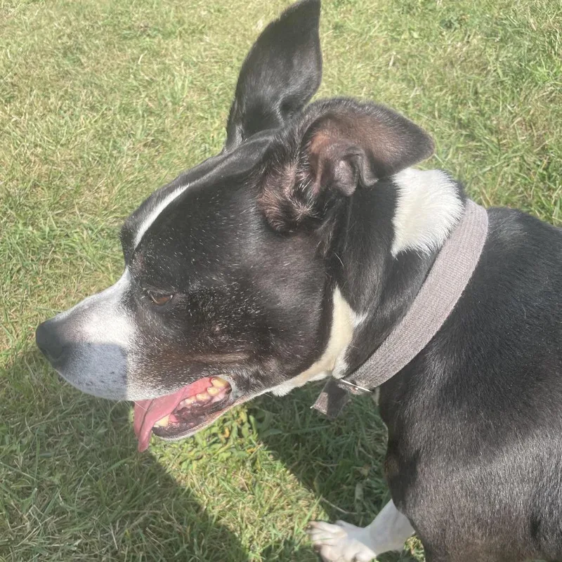 Girlfriend thumbnail 6