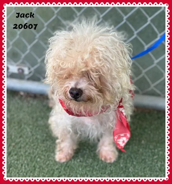 JACK see also MANNY