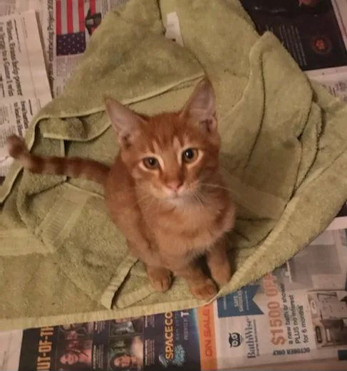 Charlieboy thumbnail 2